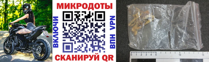Псилоцибиновые грибы Psilocybe  Шуя 